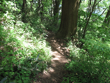 20140517hike (259)